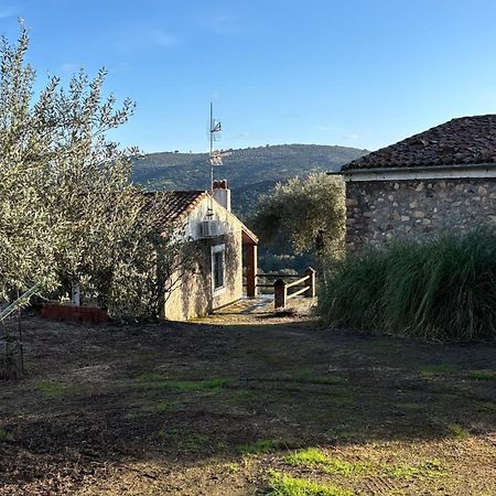 Casas Rurales Los Llanos Fuentes de León Екстериор снимка