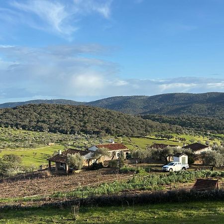 Casas Rurales Los Llanos Fuentes de León Екстериор снимка