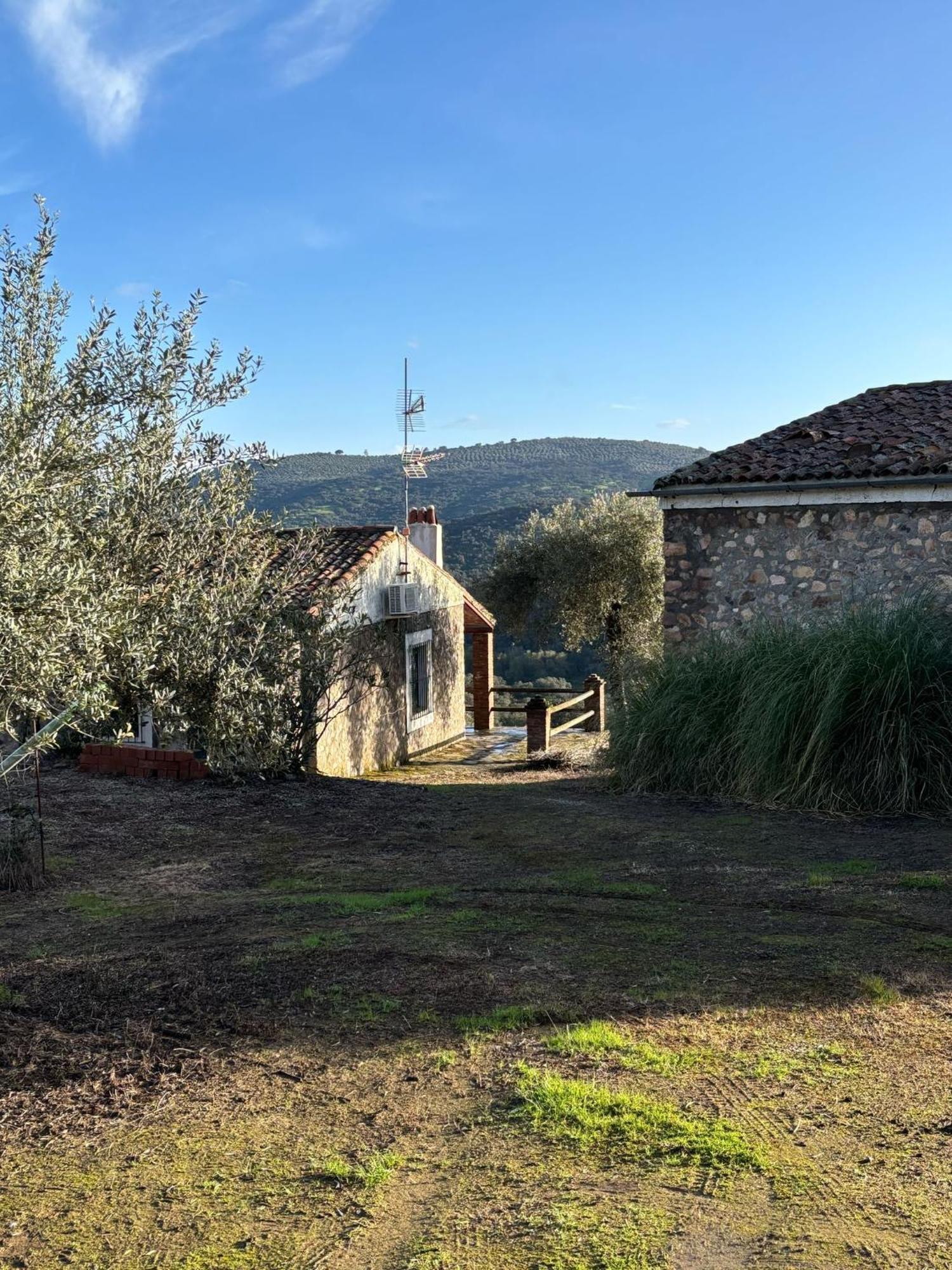 Casas Rurales Los Llanos Fuentes de León Екстериор снимка