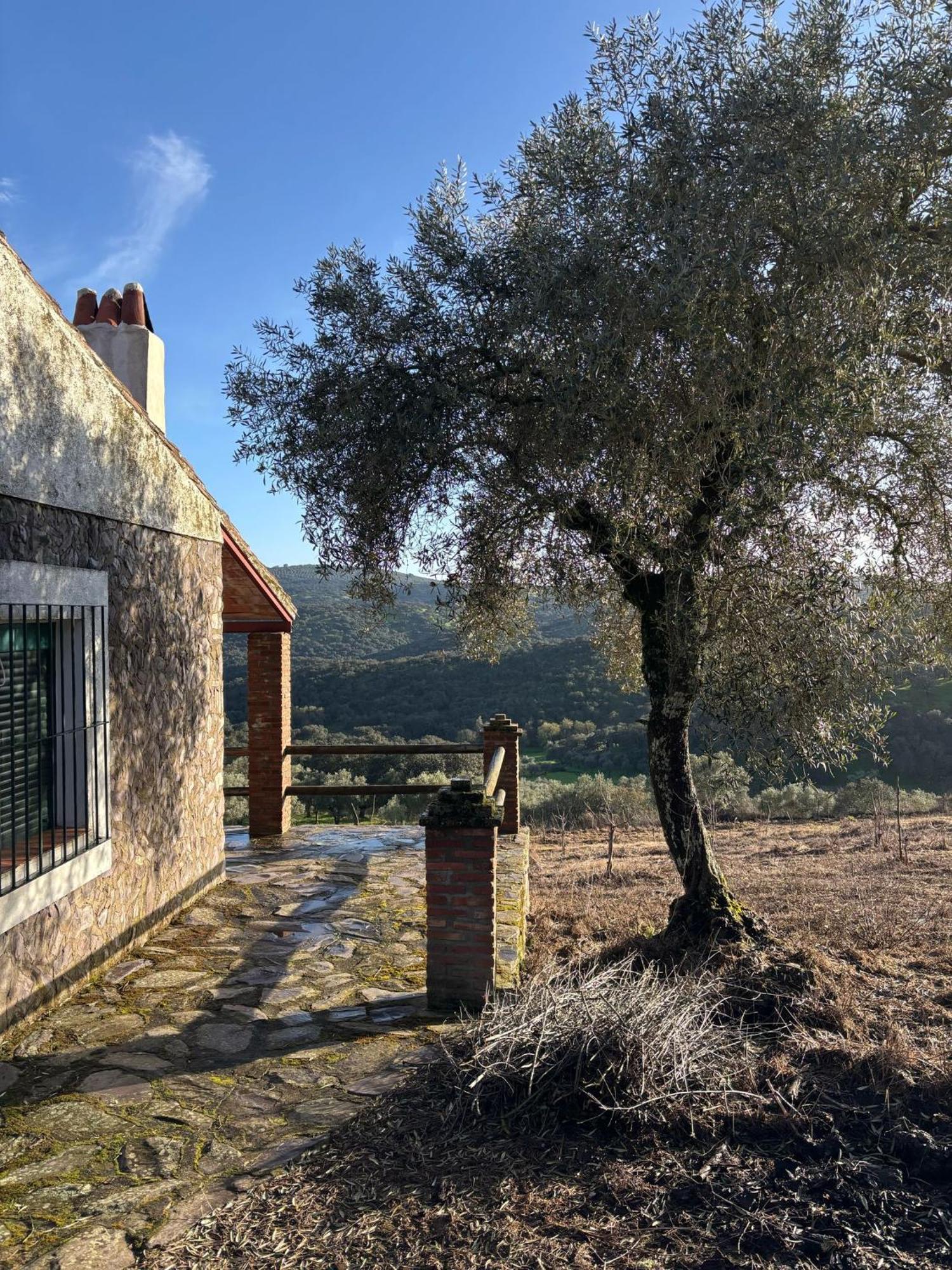 Casas Rurales Los Llanos Fuentes de León Екстериор снимка