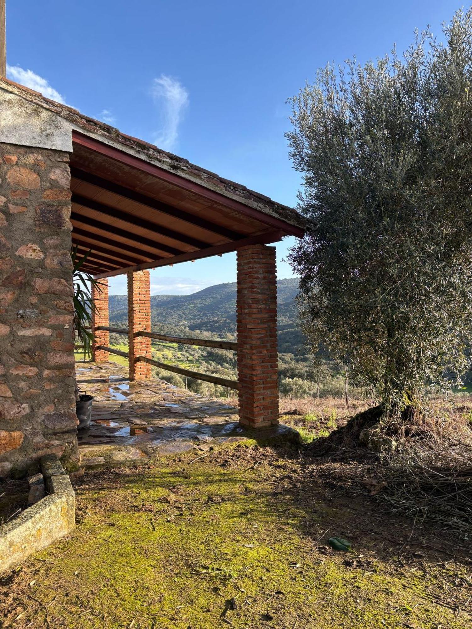 Casas Rurales Los Llanos Fuentes de León Екстериор снимка