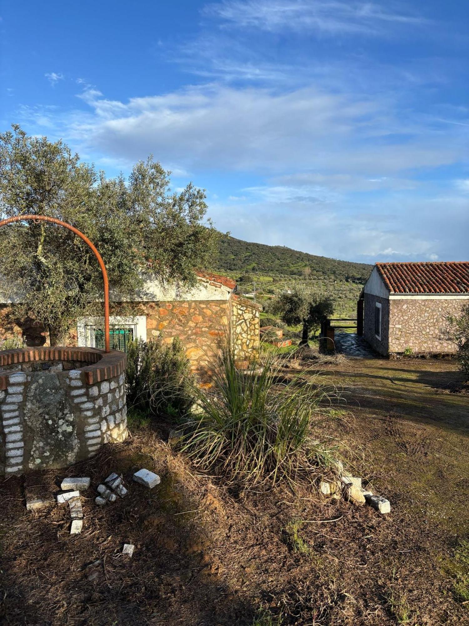 Casas Rurales Los Llanos Fuentes de León Екстериор снимка