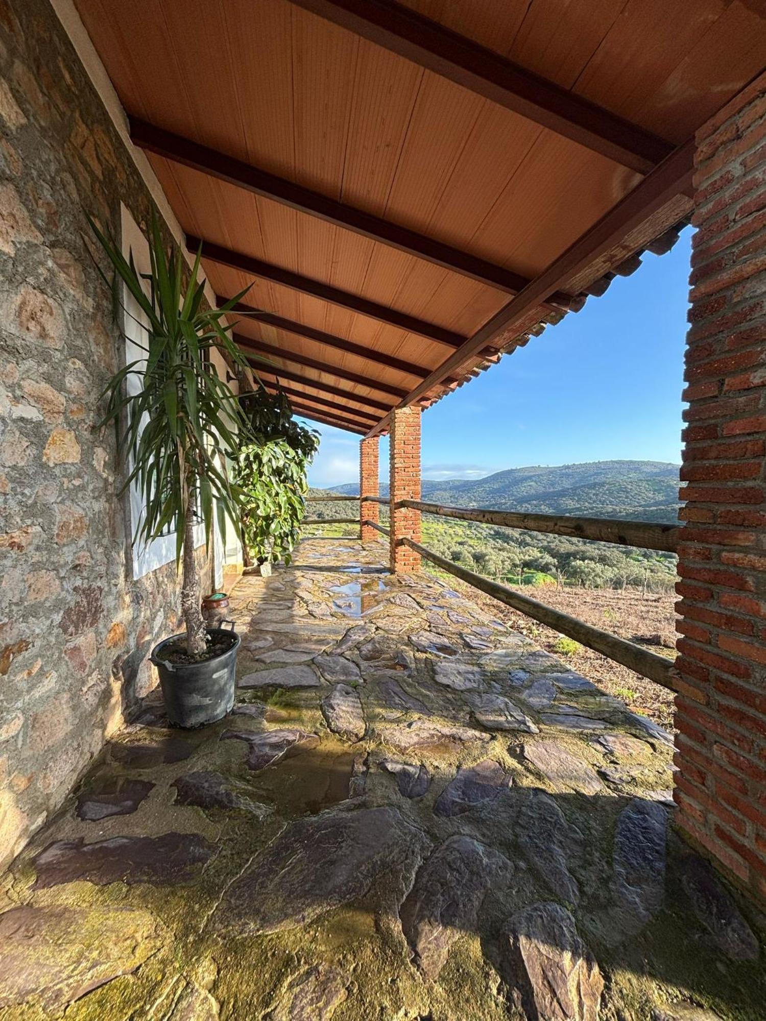 Casas Rurales Los Llanos Fuentes de León Екстериор снимка