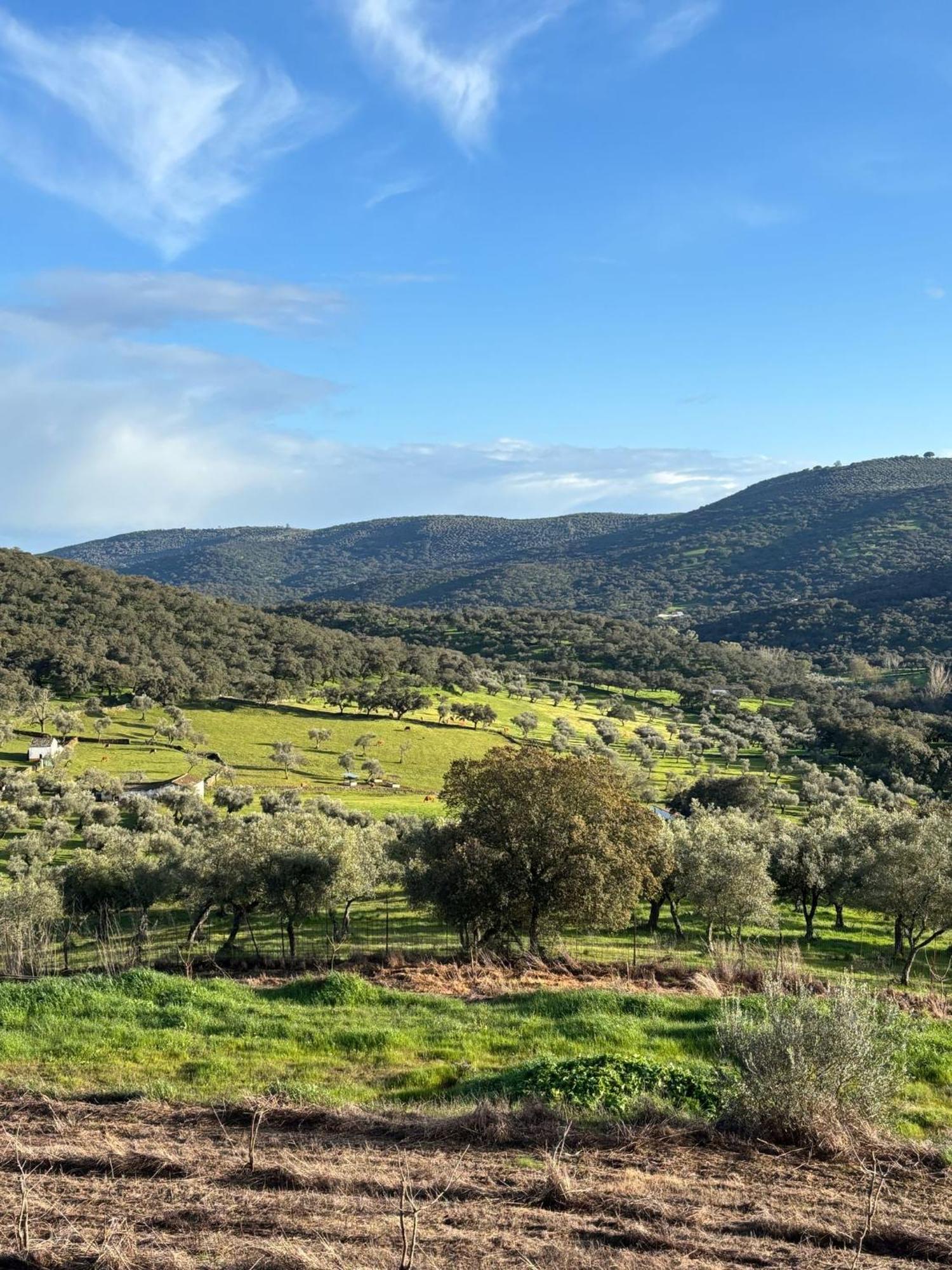 Casas Rurales Los Llanos Fuentes de León Екстериор снимка