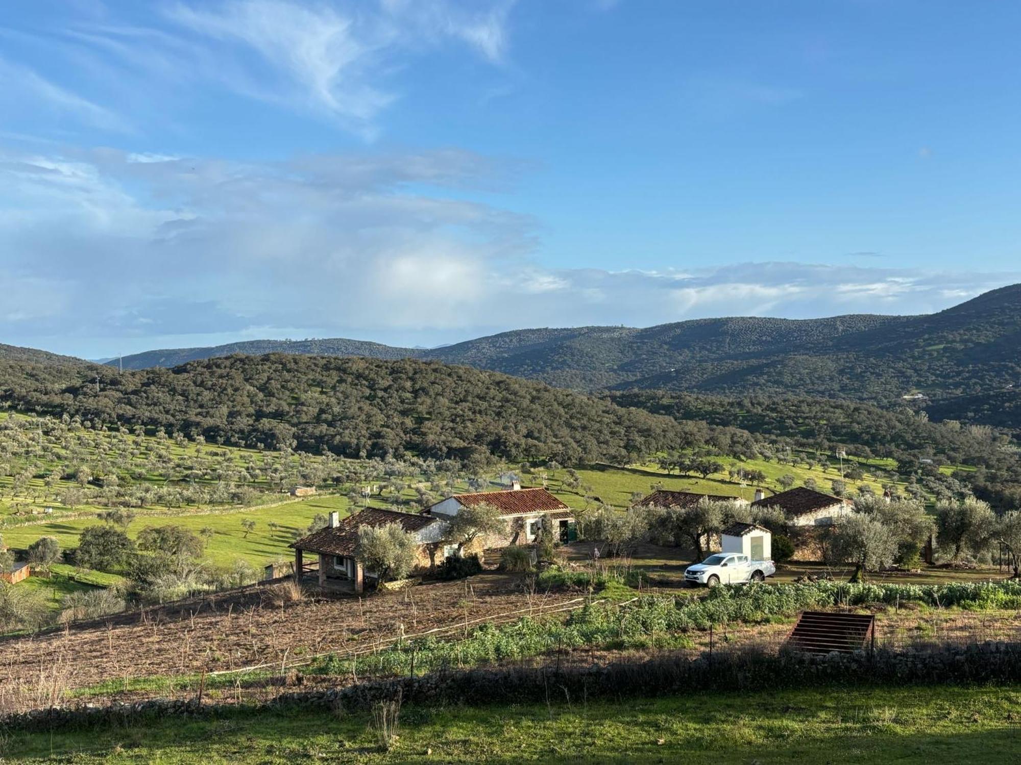 Casas Rurales Los Llanos Fuentes de León Екстериор снимка